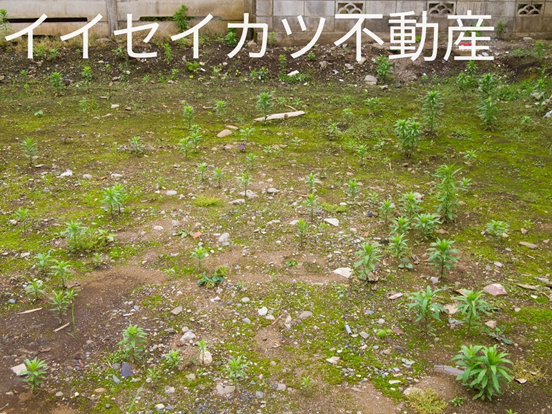 CSマンションA 眺望