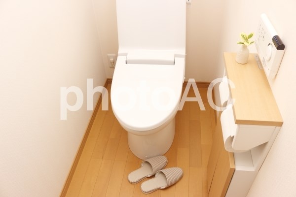 フォレストマンション売買 内観写真（トイレ）